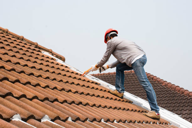Best Roof Ventilation Installation  in Banner Hill, TN